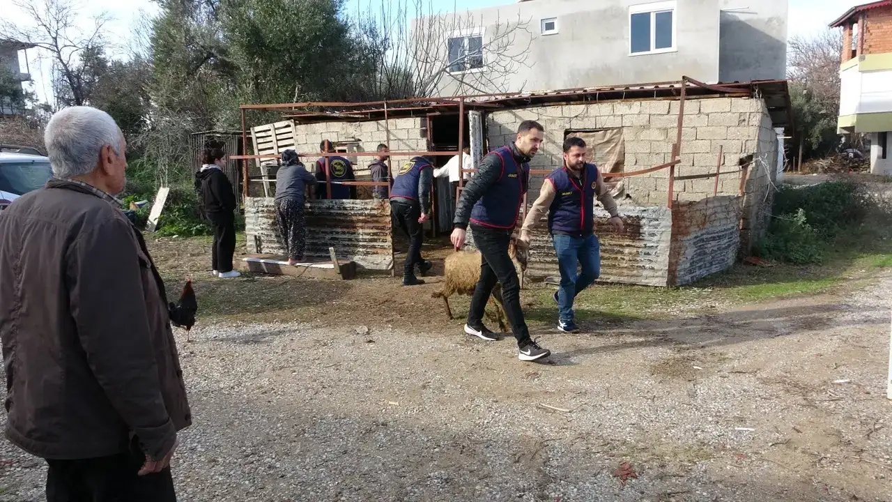 Manavgat’ta Hayvan Hırsızlığına Darbe! 1